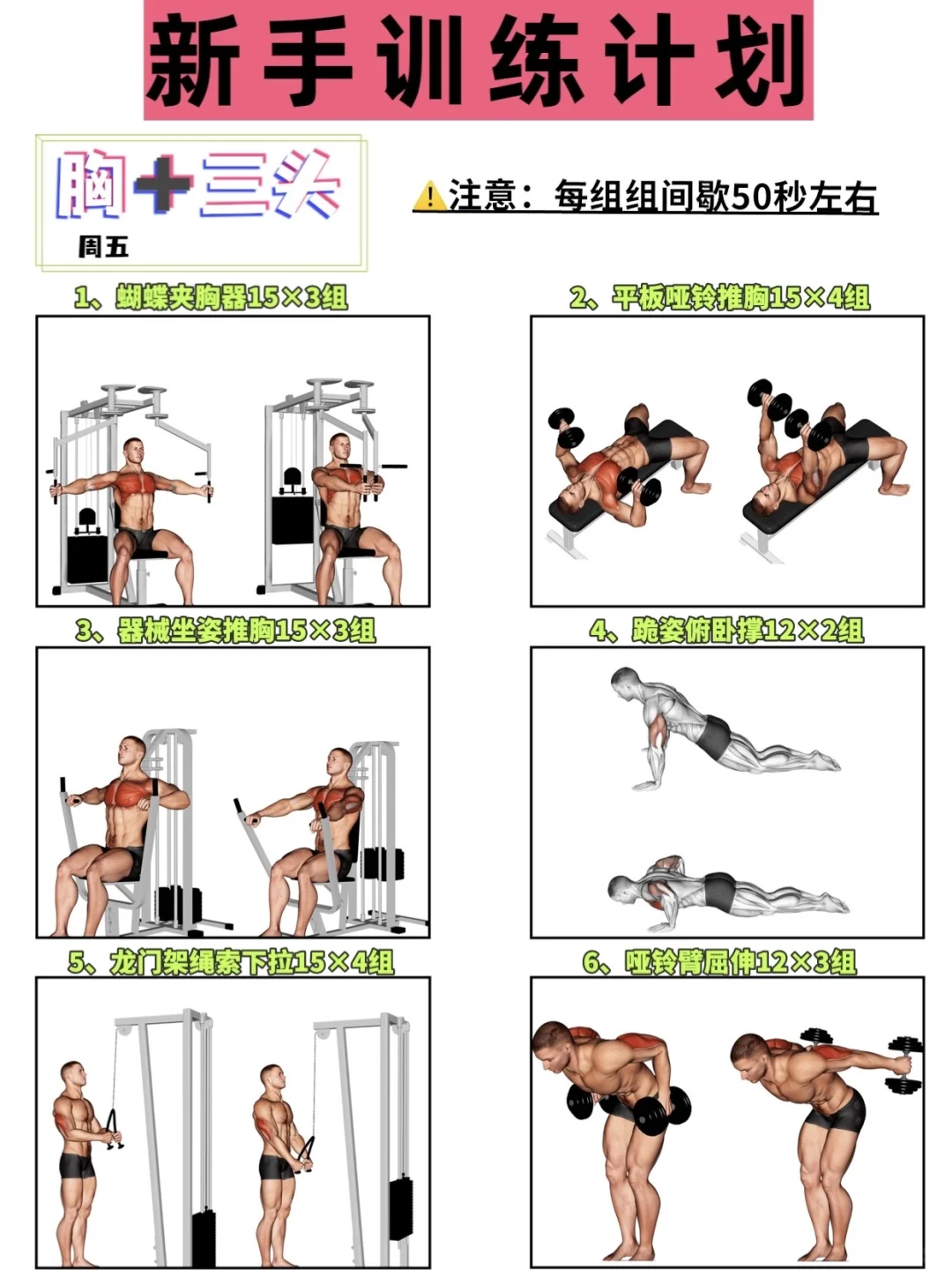 健身房训练计划！适合健身小白，一周练全身