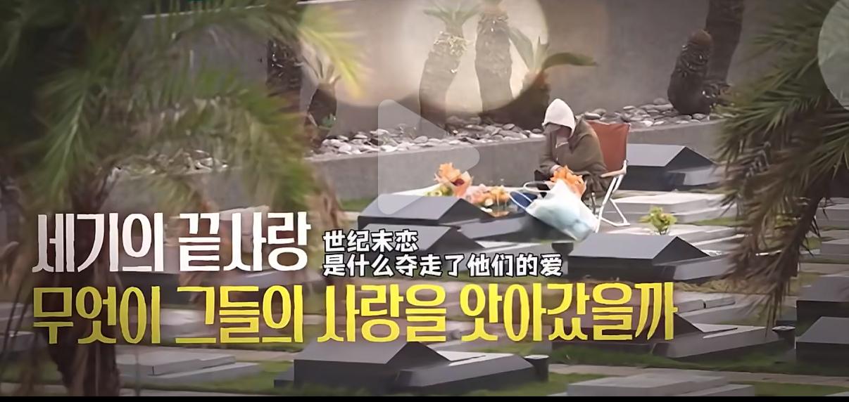 奶奶的！实在太气愤了！万万没想到。
一切都是演的，一切都是为了赚钱！
KBS纪录