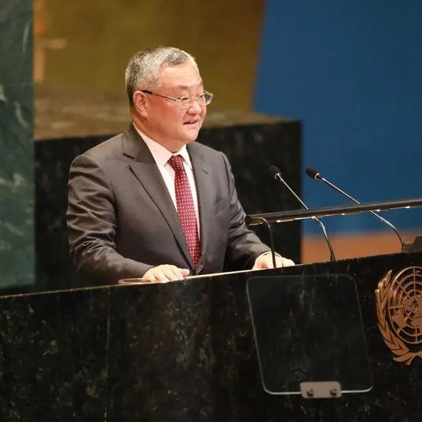 对美国等欠费老赖应该有惩罚措施，不仅收他们的滞纳金还要停他们的投票资格甚至开除。