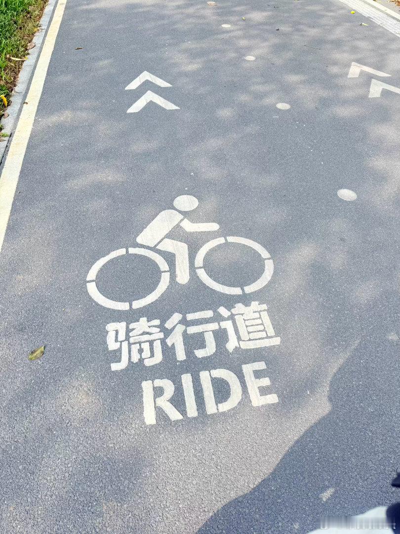今天不跑步、不爬楼，就想骑个车。环湖路上听说好多地方在修路，想着：能骑到哪就骑到
