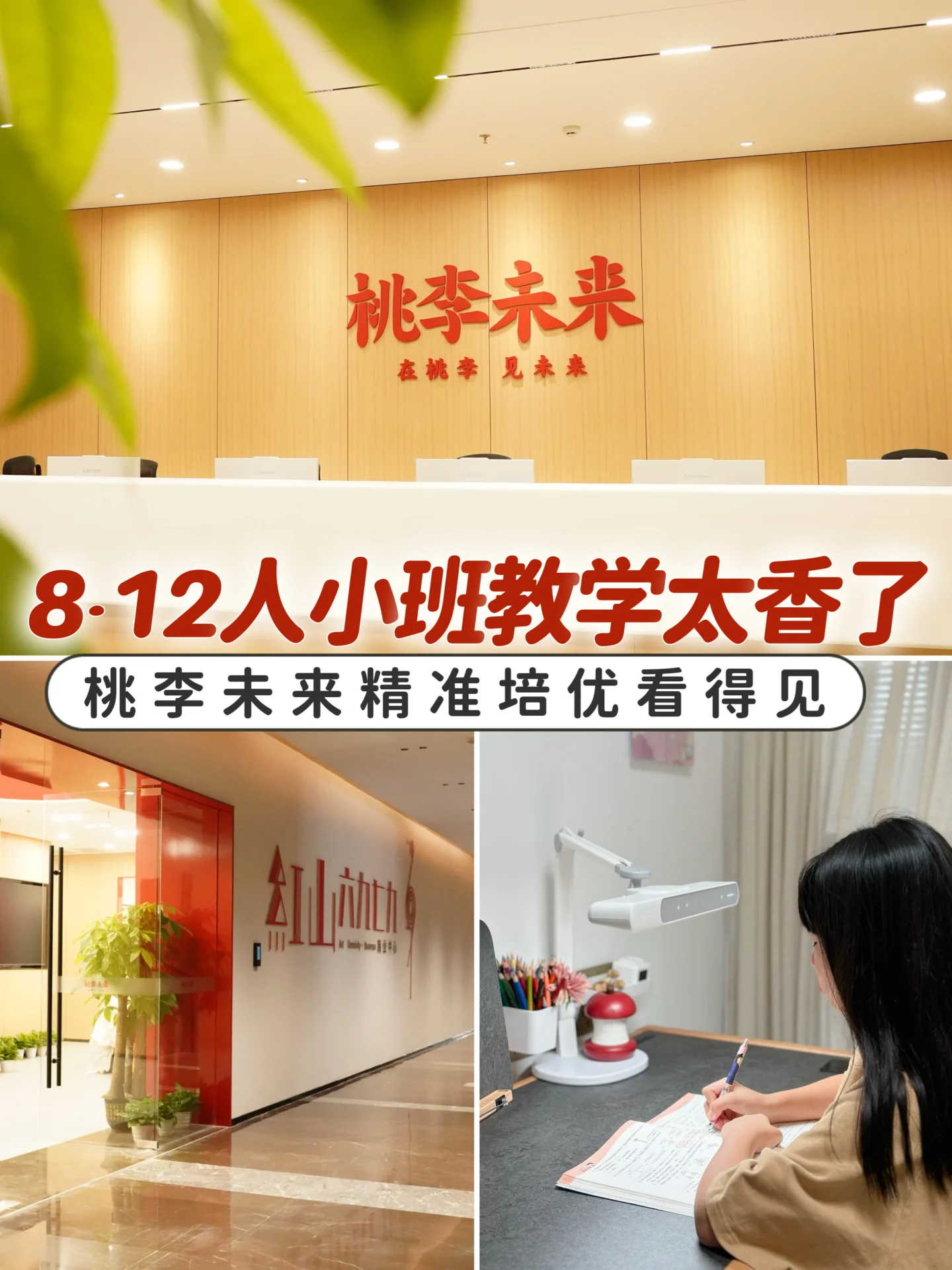 就在家门口！在桃李未来体验被“看见”的课堂