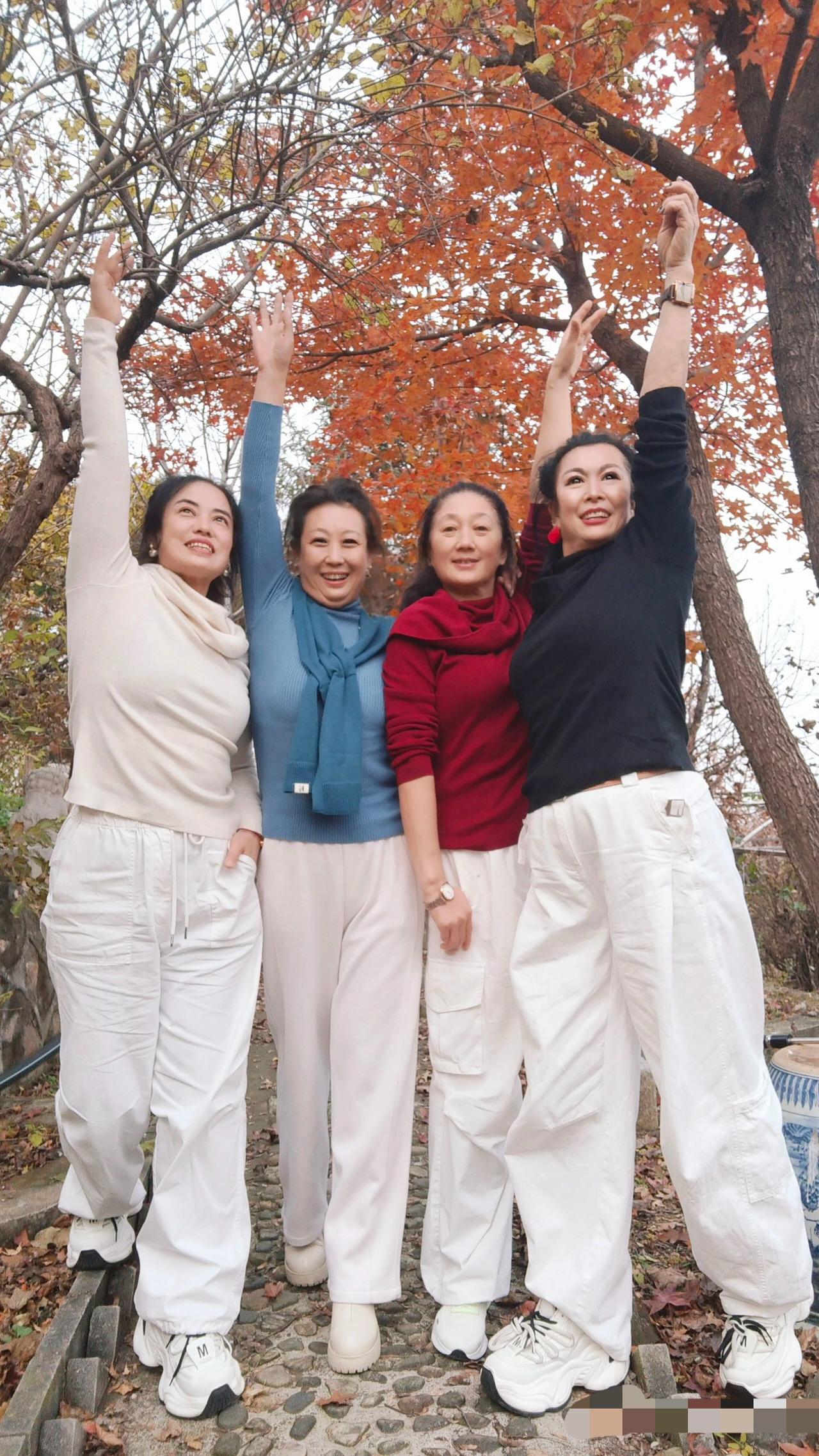 一群老阿姨了，还爱出来拍照，喜欢哪个颜色的阿姨？介绍一个有没有要的