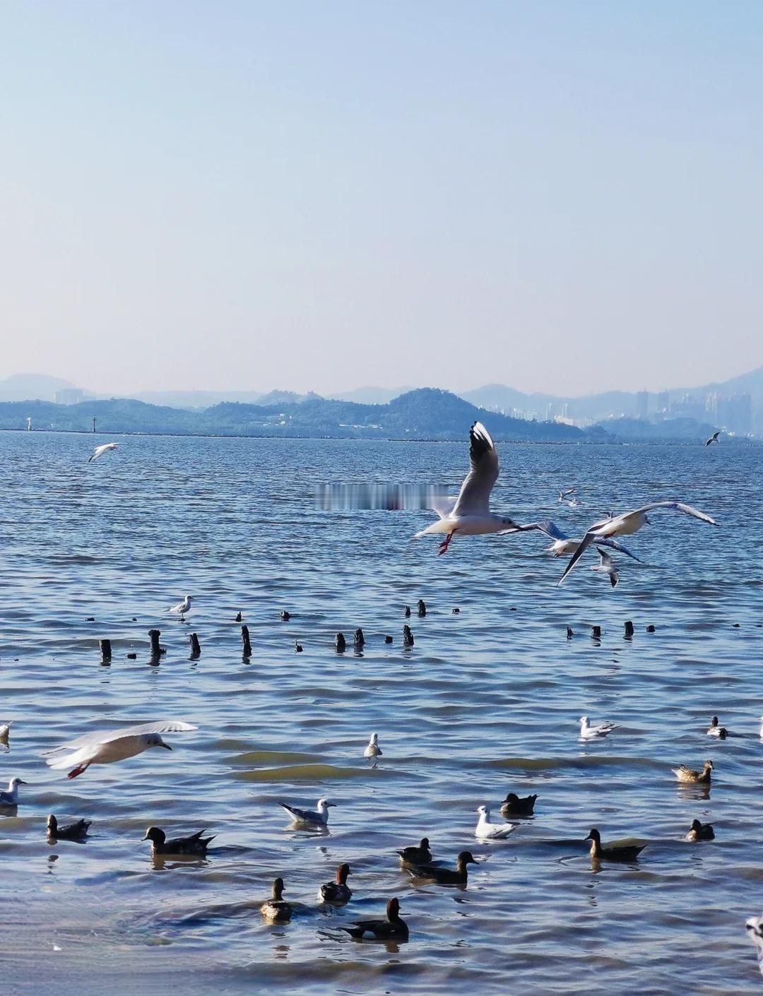 财富的分配，从来不是按劳动时长计算，而是由资本权重决定。每次政策变化、周期波动，