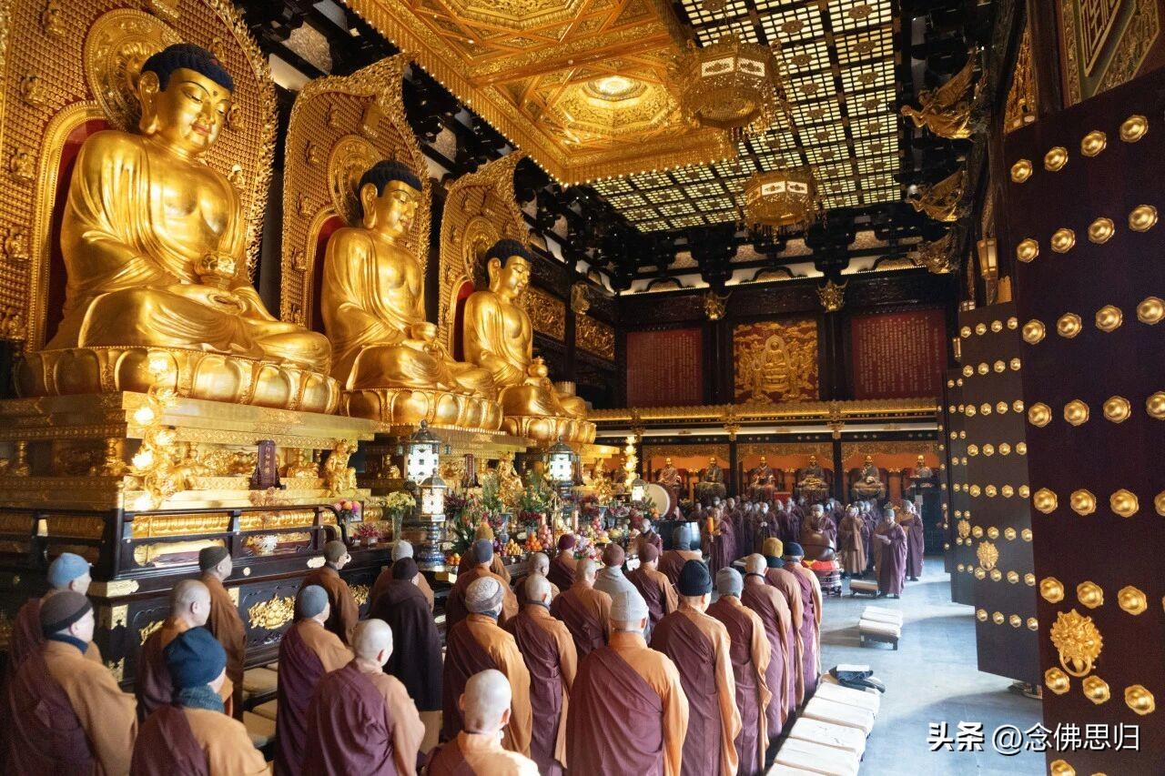 若没有八苦，一切众生都没有修道之心
在佛典当中常常谈一个问题， 正因为有疾病、 