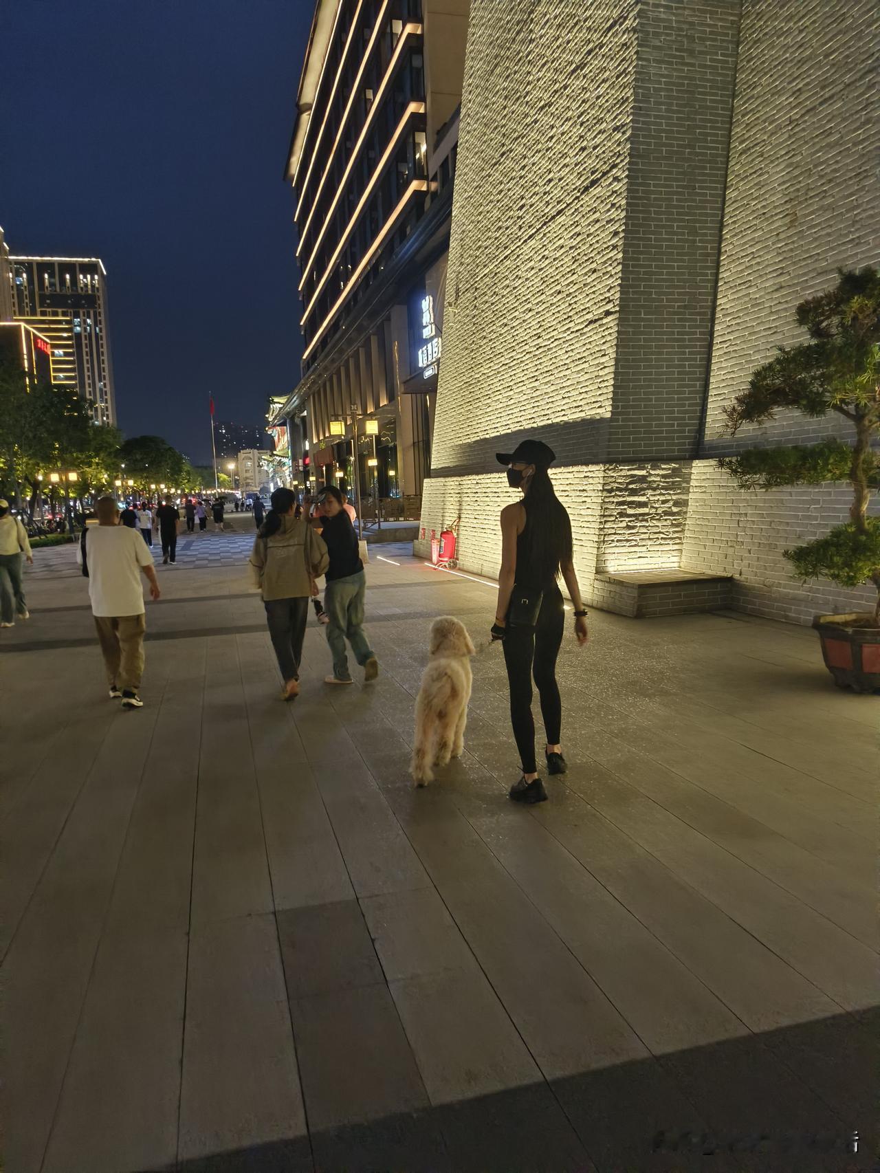 夜幕下的都市漫步，与爱犬相伴的温馨时光。