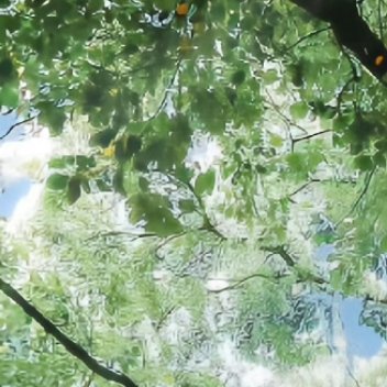 阳光信用 阳光信用每日一善 为善如负重登山，志虽已确而力犹恐不及;为恶如乘骏走坡