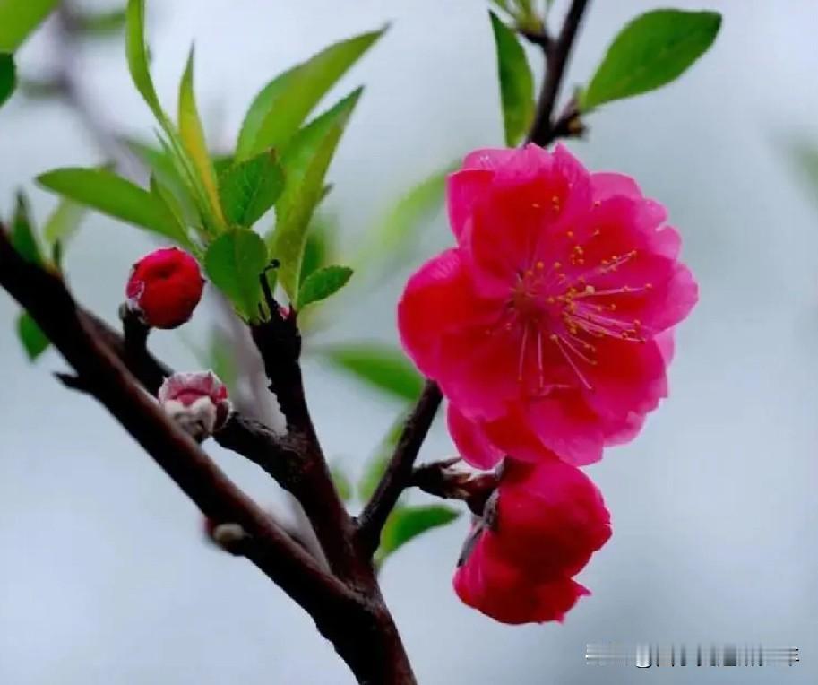 春天：
春天来的这样快，
把我拉入春的怀。
我同春天并肩走，
紧紧拉住春的手。