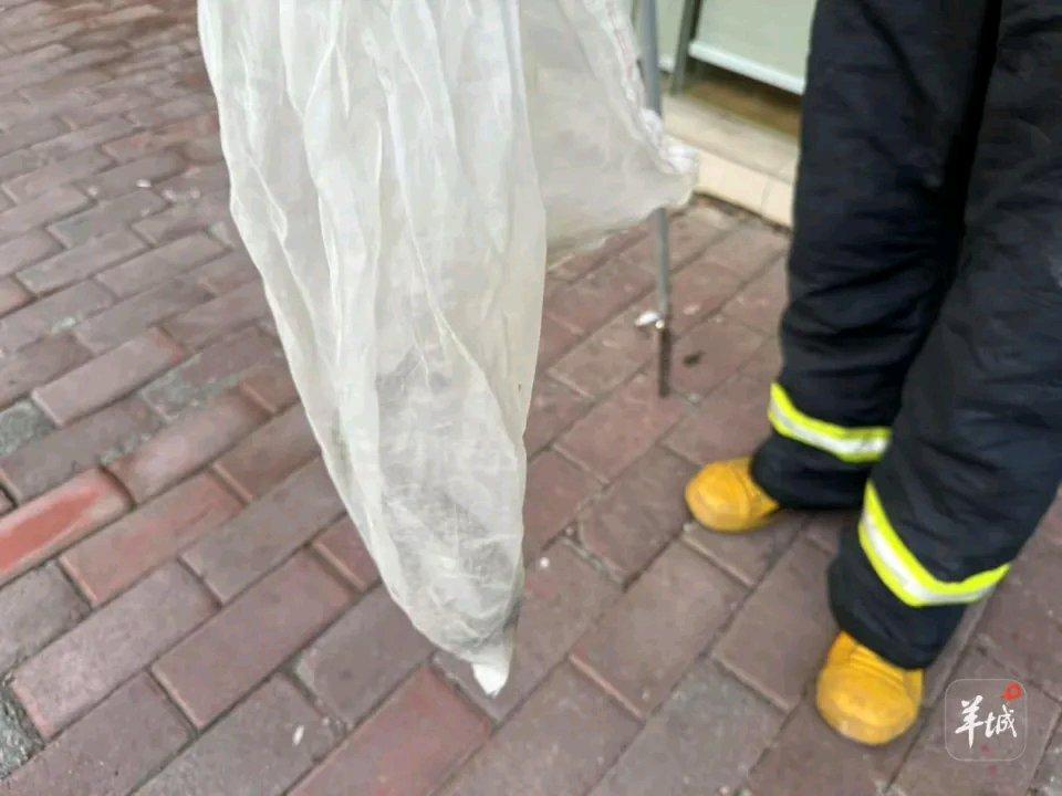 广州南沙东涌镇一小区蛇患太闹心了。从去年起，蛇就频繁出没，有的还爬进居民家里，业