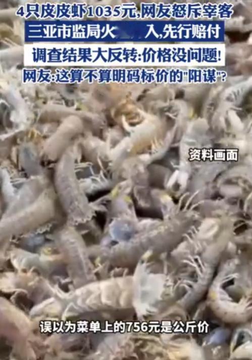 5月7日反转来了！4只皮皮虾1035元不算宰客？三亚市监局：价格合法，但钱退了！