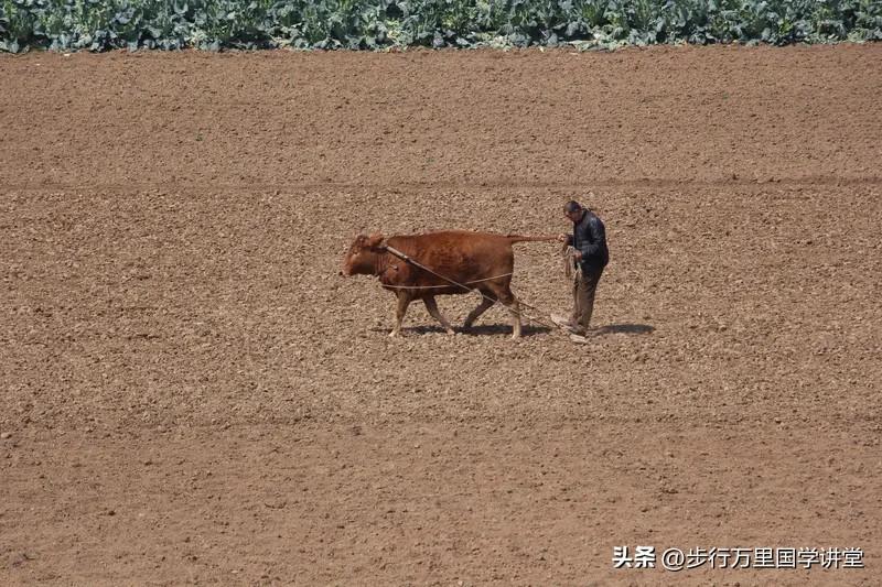 看到这段充满豪情的话语，内心瞬间被点燃。“前赴后继，走征程”，让我想到从古至今无