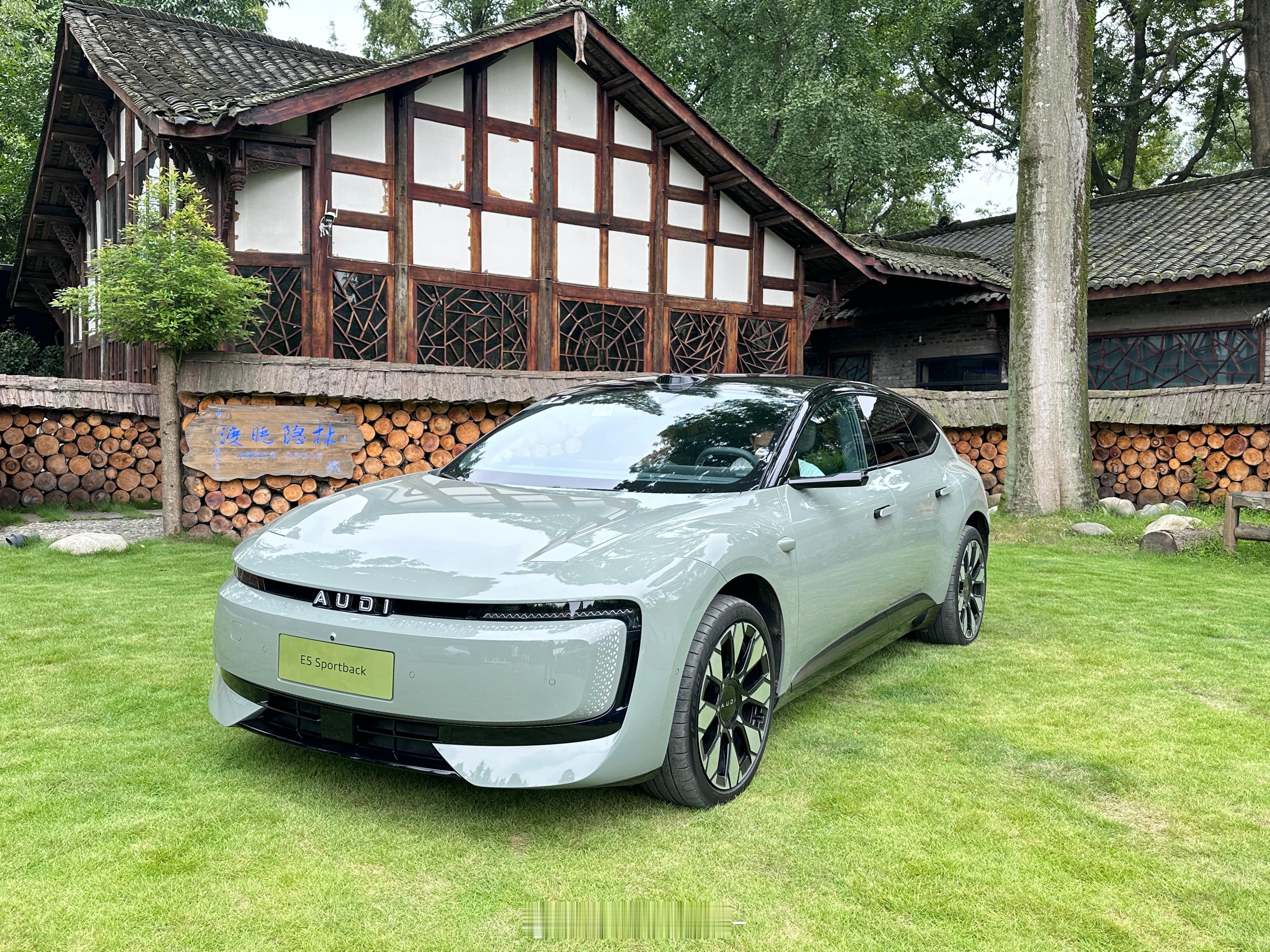 奥迪e5sportback 五种颜色在阳光下的实拍我觉得都好好看选不出来怎么办[