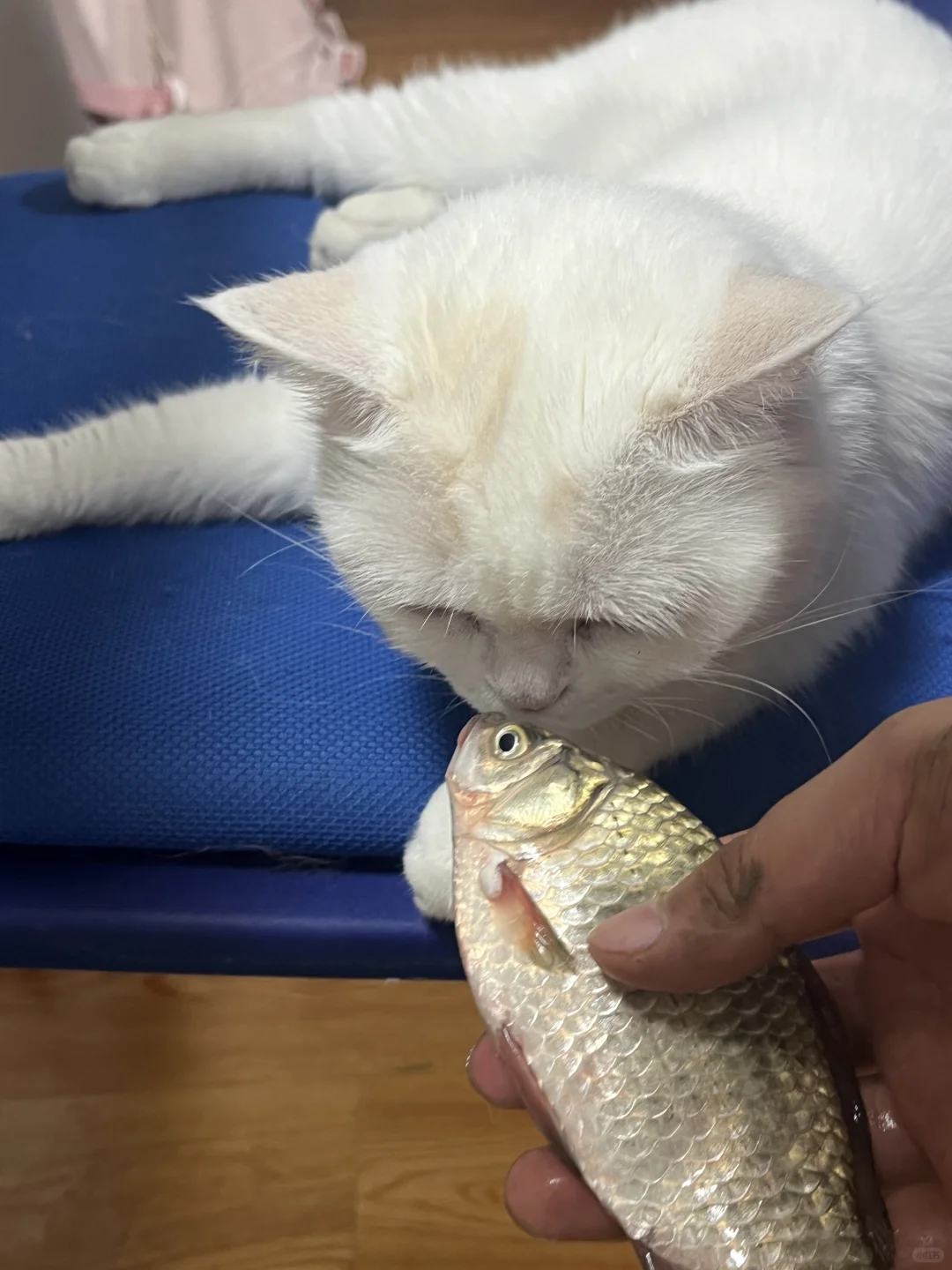 脸上写满了嫌弃