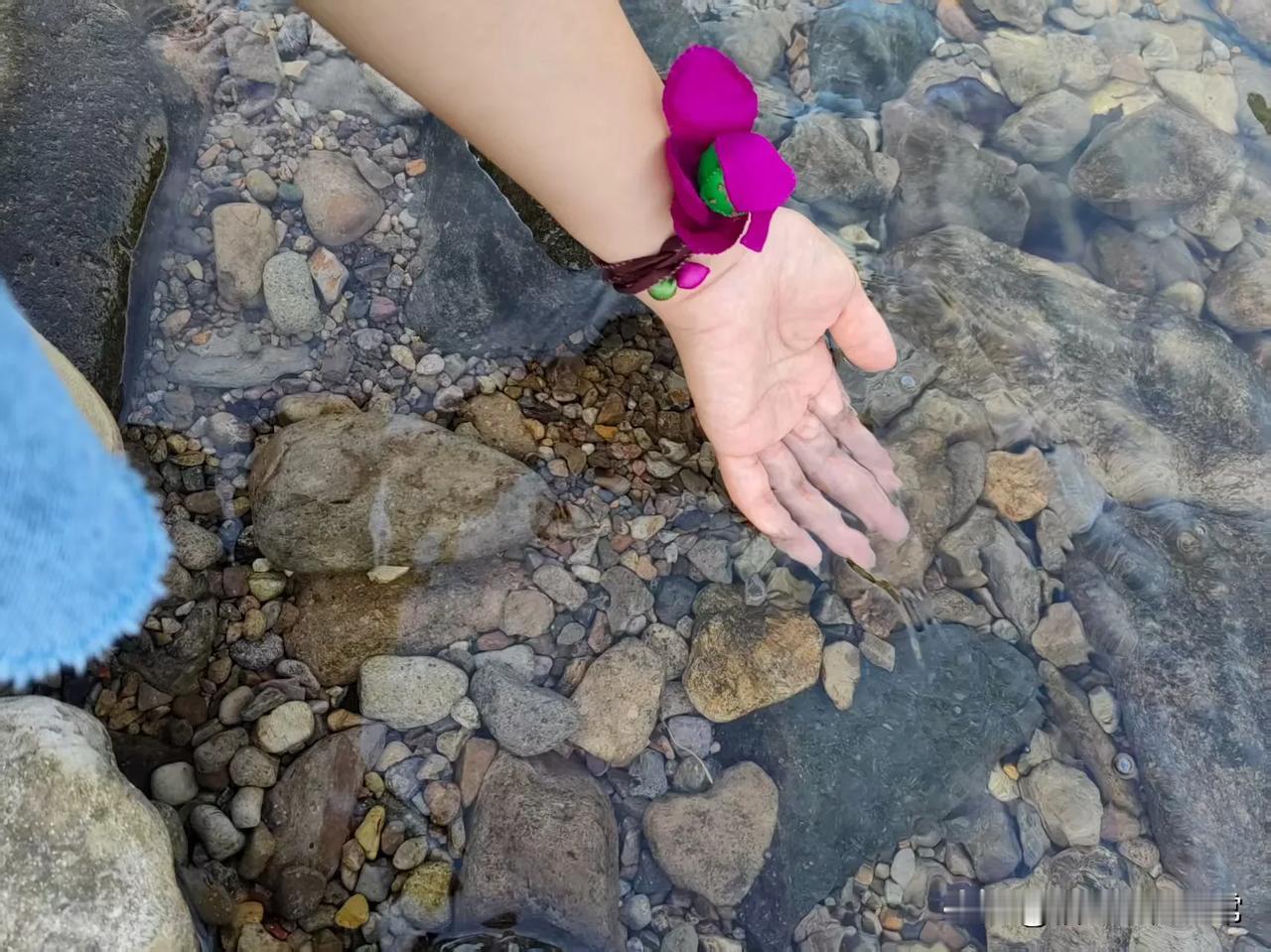 真丝做的单瓣荷花，被朋友戴手上做成手腕花！
在清澈的溪水中和阳光的照射下格外妖娆