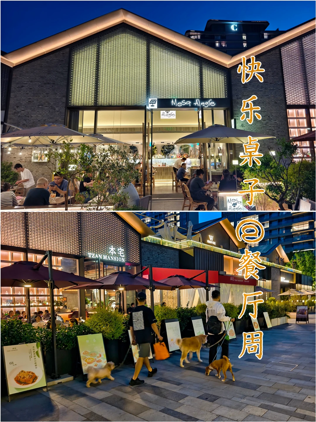 餐厅周| MesaAlegre快乐桌子 夜色