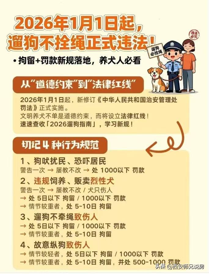 现在遛狗不牵绳，狗咬伤人要拘留，看来法律还是严格啊，大家都要遵守！