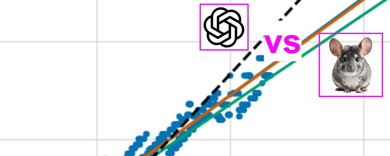 【Scaling Laws 纠偏：那个误导了行业两年的 Bug】OpenAI 早