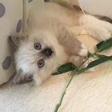 春风圆爱读娱乐