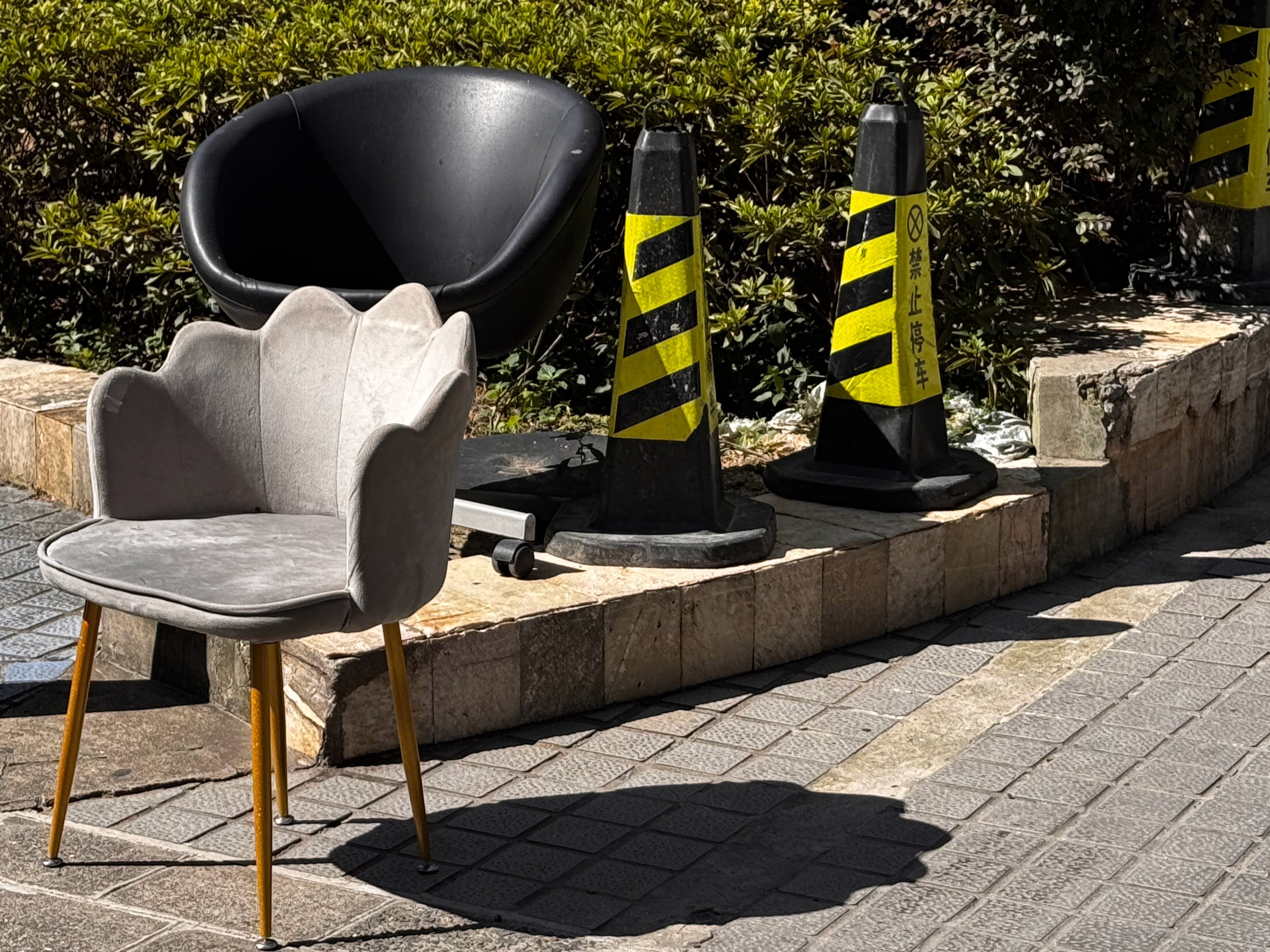 秋天该很好。阳光很好，和狗出去玩（图8是博主）很好 ​​​