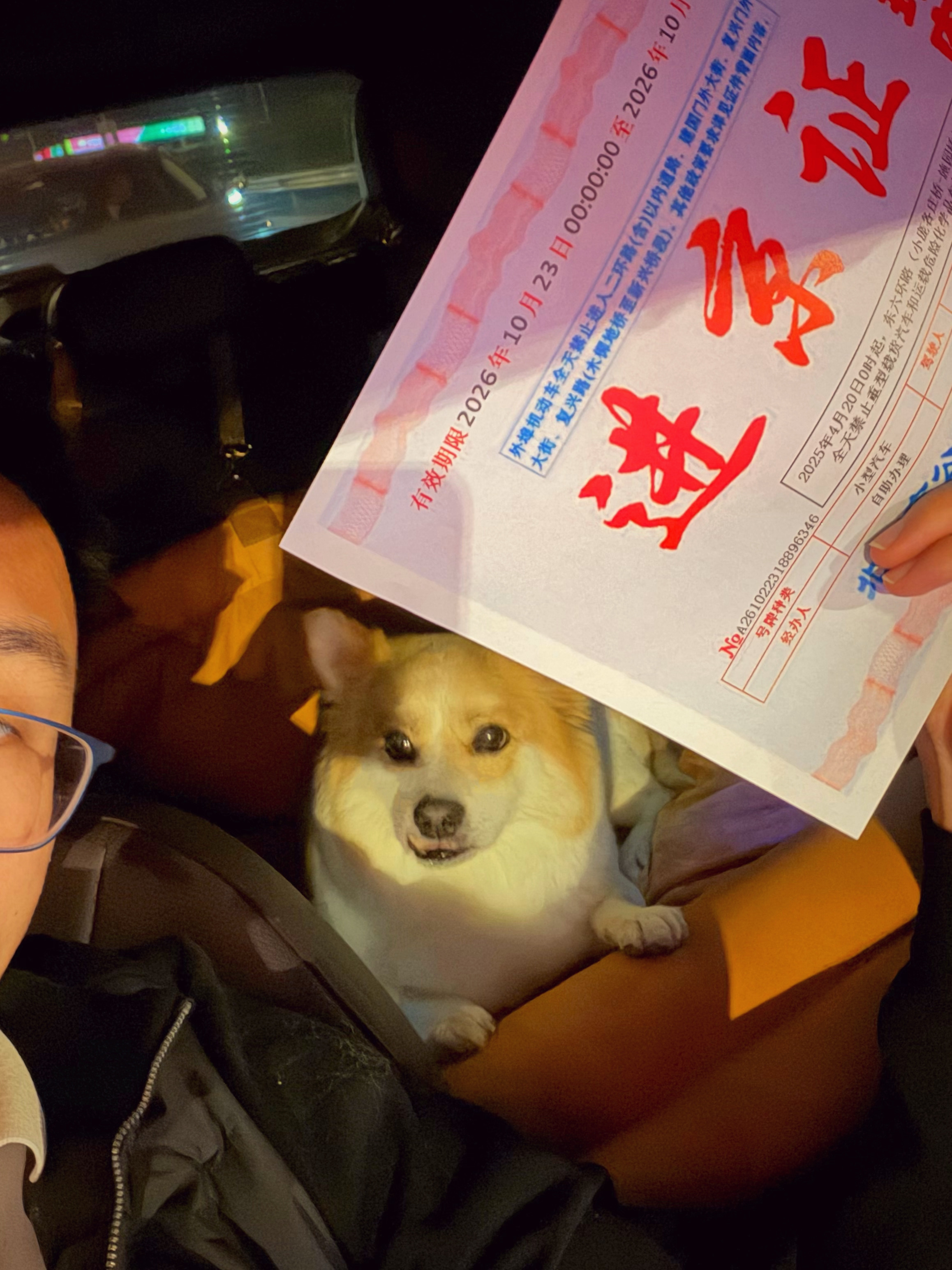 这是我们回国后的一个多月里，第三次来北京了，带大宝来看病。找人托关系，看一些名医