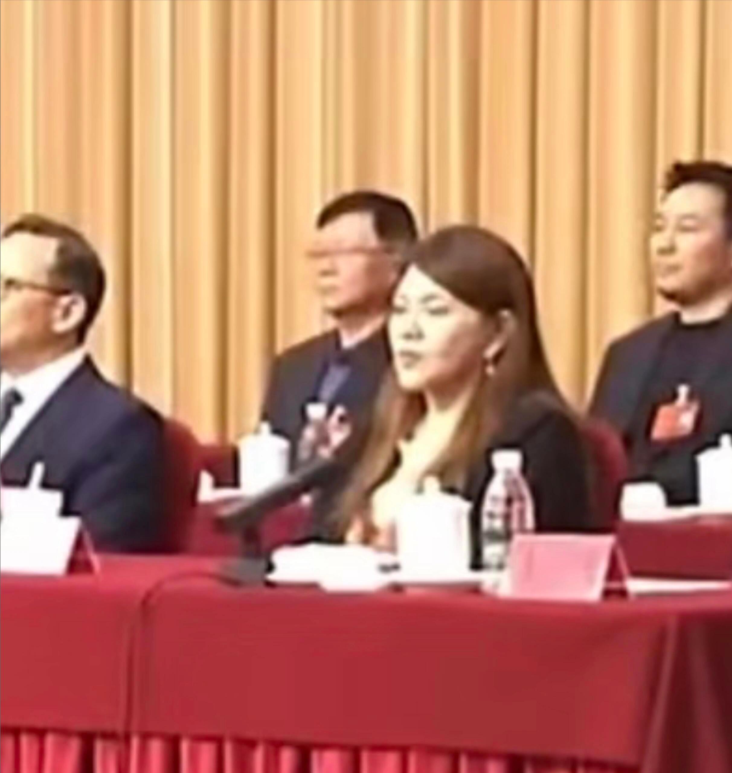乌兰图雅昨天乘风坐台下今天全国代表大会坐主席台！ 