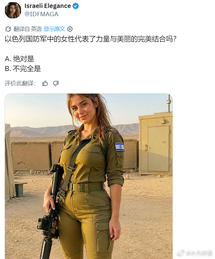 一个IP地址在南亚的X账号发了几个问题。我个人对IDF和以色列→巴以冲突海外新鲜