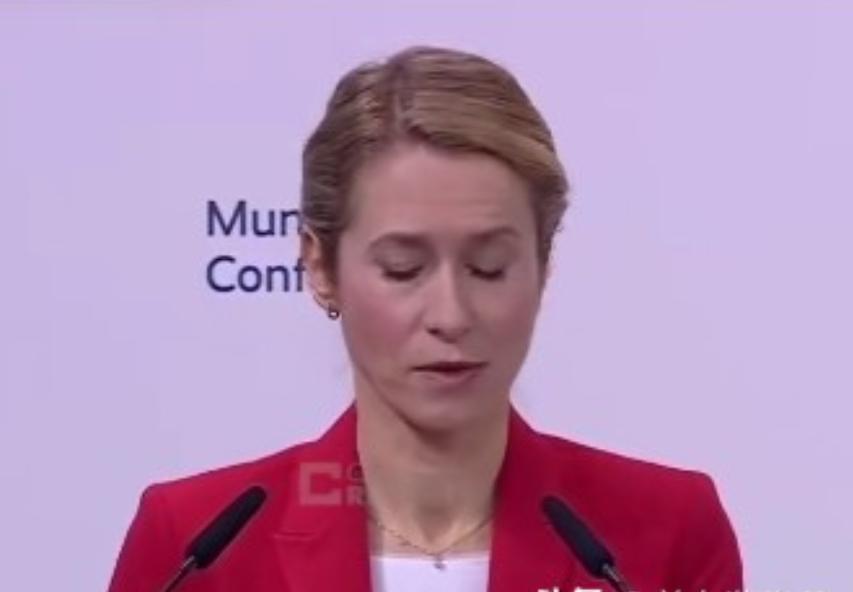 2月15号，慕尼黑安全会议开到最后一天，欧盟外长卡拉斯上台说了几句话，直接把会场