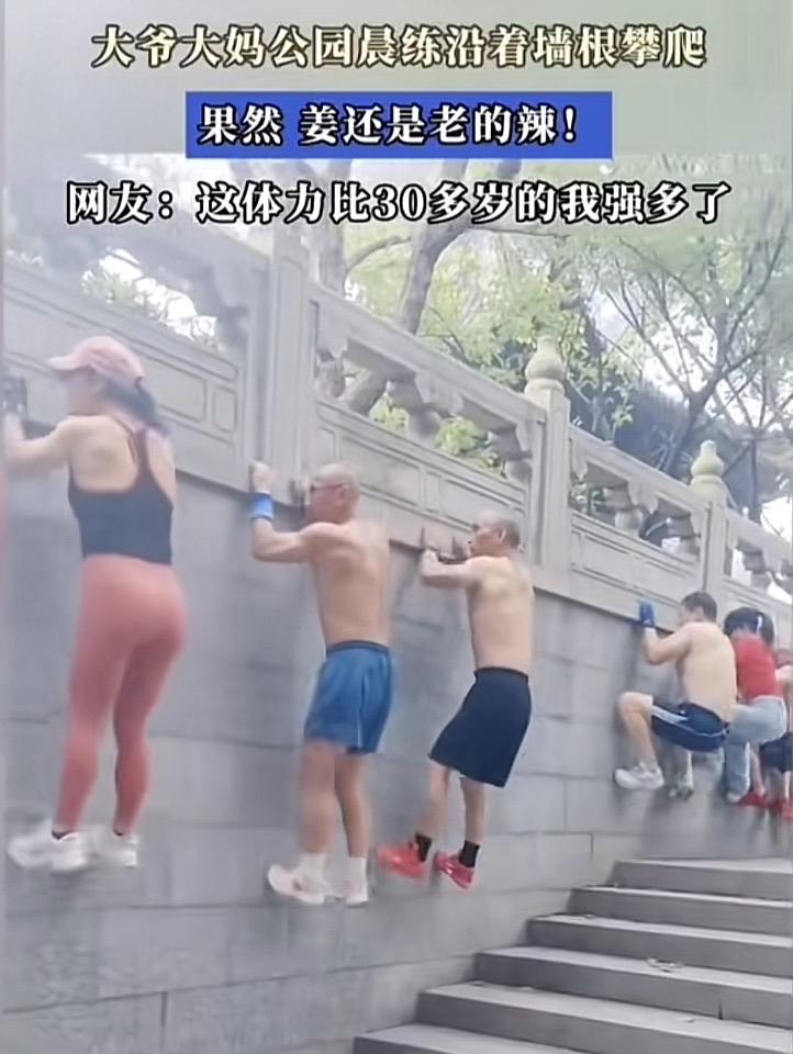 现在大爷大妈晨练真是越来越有花样了。在公园能看到他们沿着墙根攀爬，那身手相当敏捷