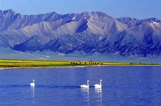 赛里木湖景区认领问界M9新配色问界M9联动三亚旅发 赛里木湖的蓝，是那种能浸透灵