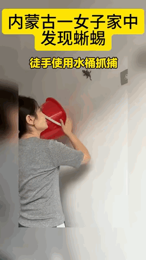 图一：勇敢的人，才能做勇敢的事情！真佩服妹子的勇气。
图二：带着记忆来的孩子，就