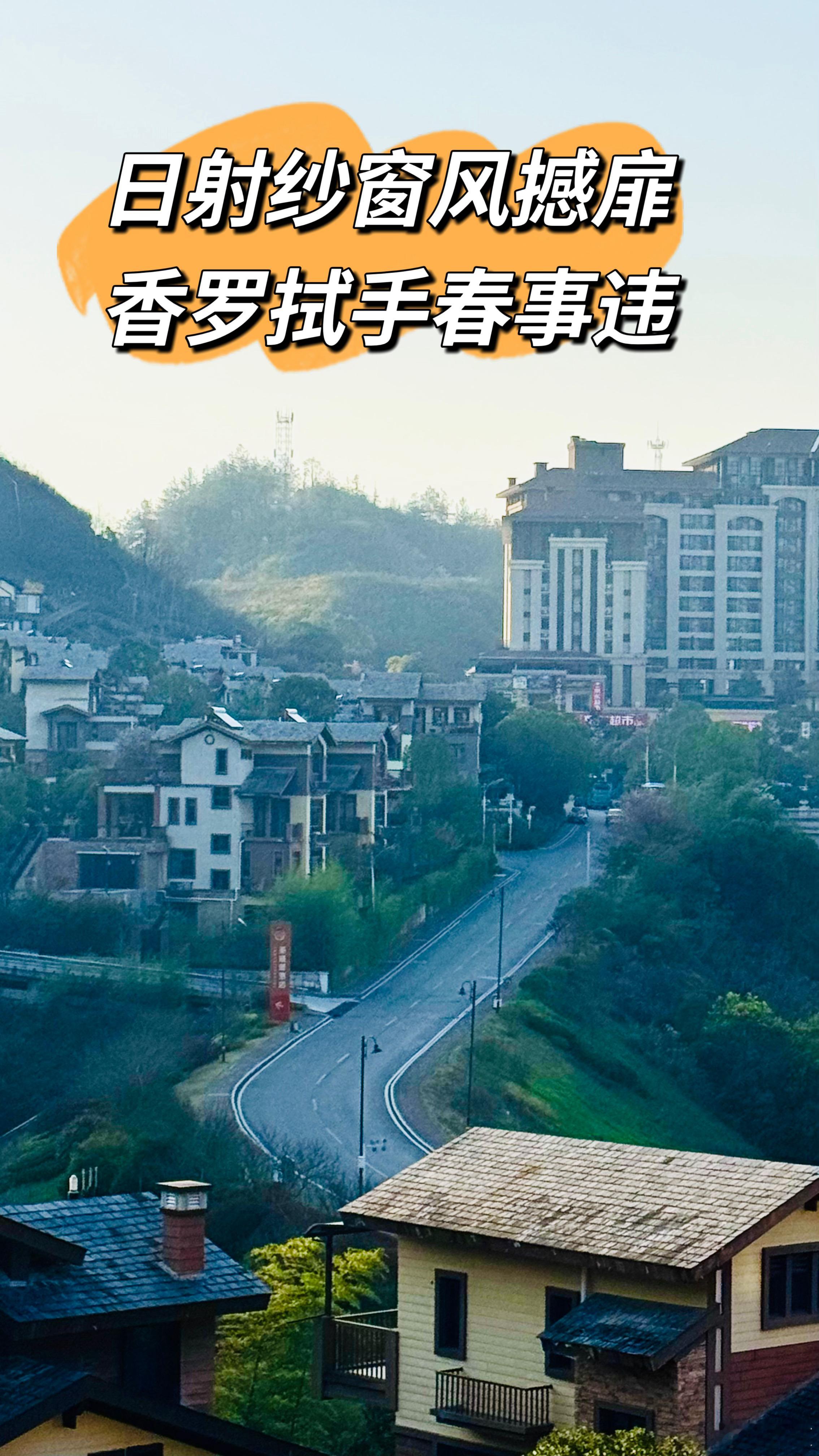 2025年3月24日，还是晴，要一直晴到清明。接水的大水桶都虚位以待好几天了，现