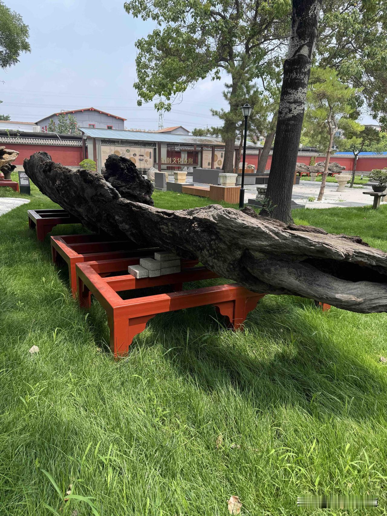 夏日生活打卡季我现在没有首发补贴；也没有新锐创作者头衔了。收入少多了，我现在写就