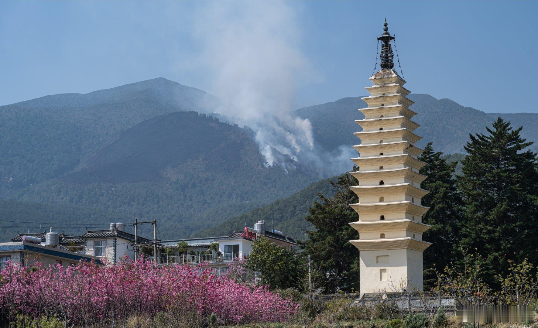 樱花中的大理佛图寺塔，始建于南诏时期的千年古塔，位于一片农田前，非常地美，拍于2