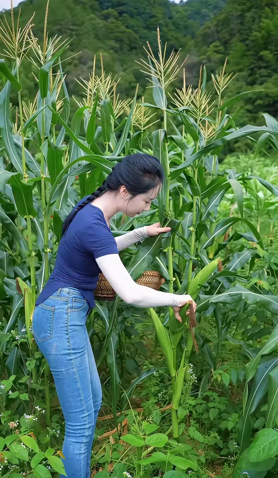 田园劳作，收获满满，感受大自然的馈赠！🌾🌿漂亮女人的最大魅力，只是一张脸吗 