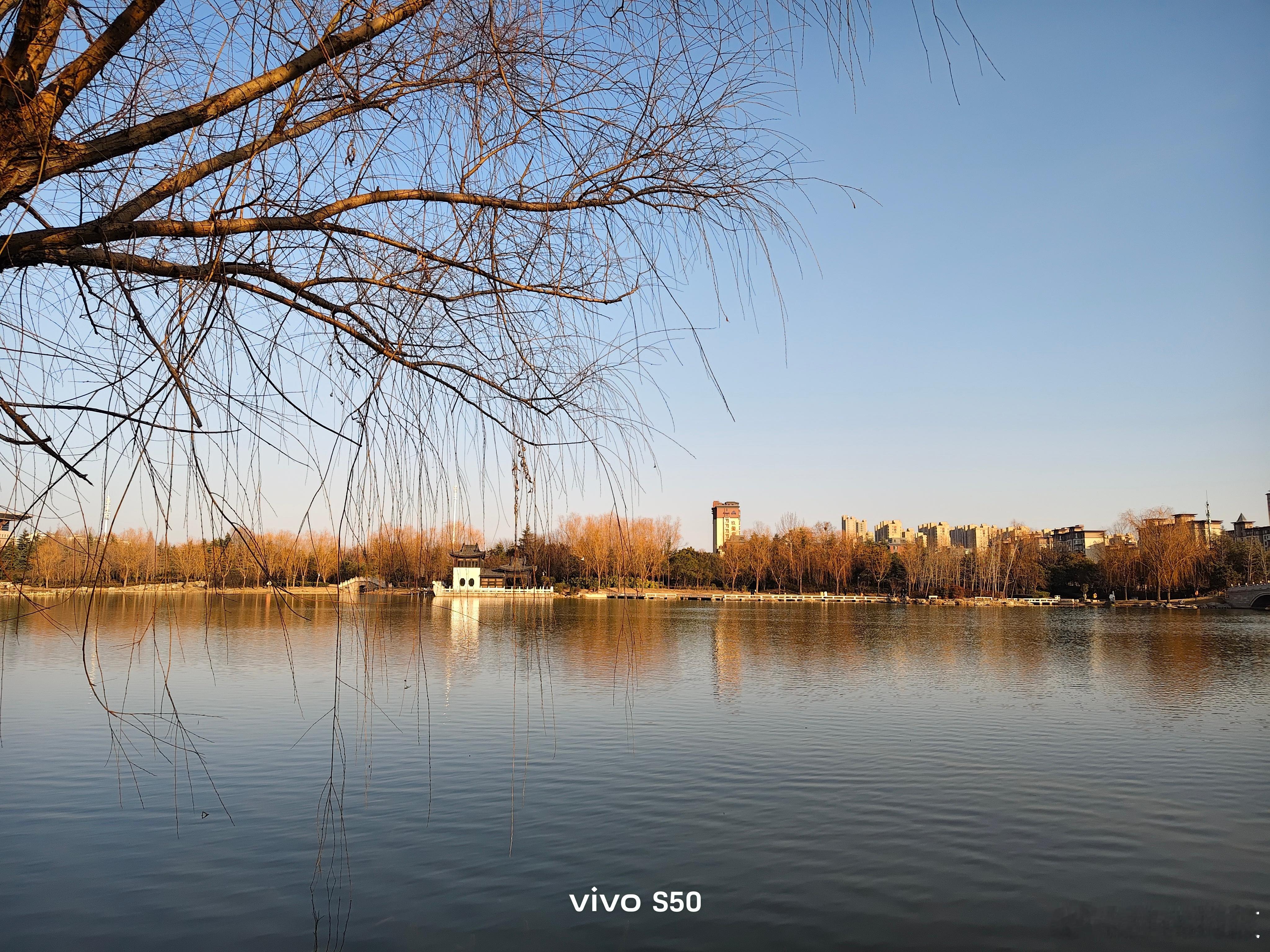 vivo s50也拍出来了江南水乡的感觉!这随手拍的色调确实有意境vivoviv