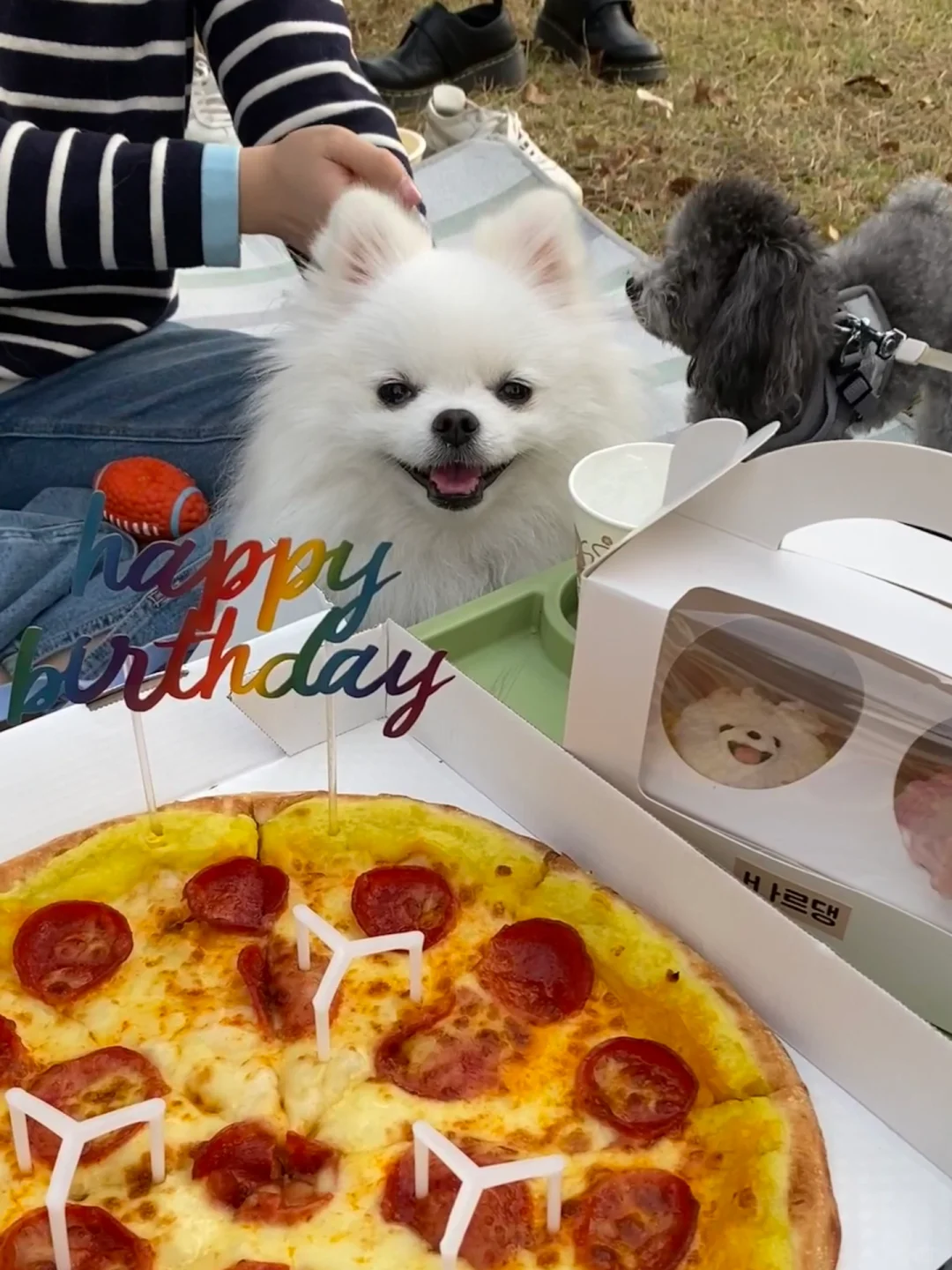 我的宝2岁生日快乐🎂