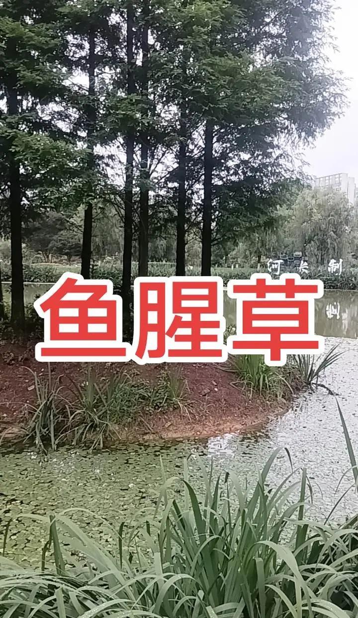 鏖战全场，锋芒尽显！吴宜泽顶住压力绝杀墨菲，铸就世锦赛新纪录，中国斯诺克再添荣光