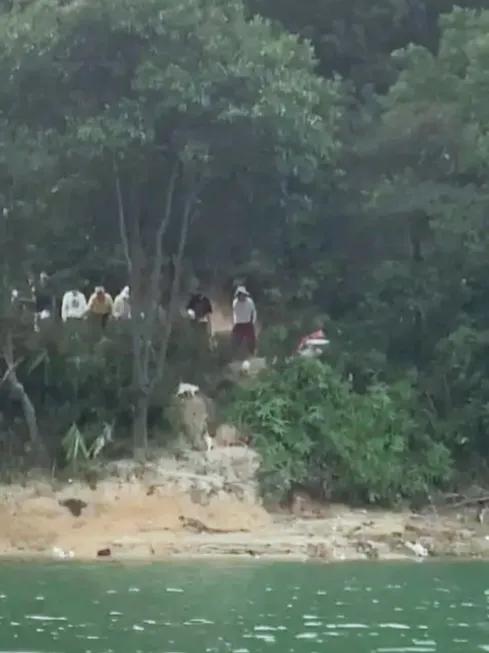 水库放生上千猫，生态善意双受害

近日，广东清远迎咀水库发生大规模放生猫事件，引