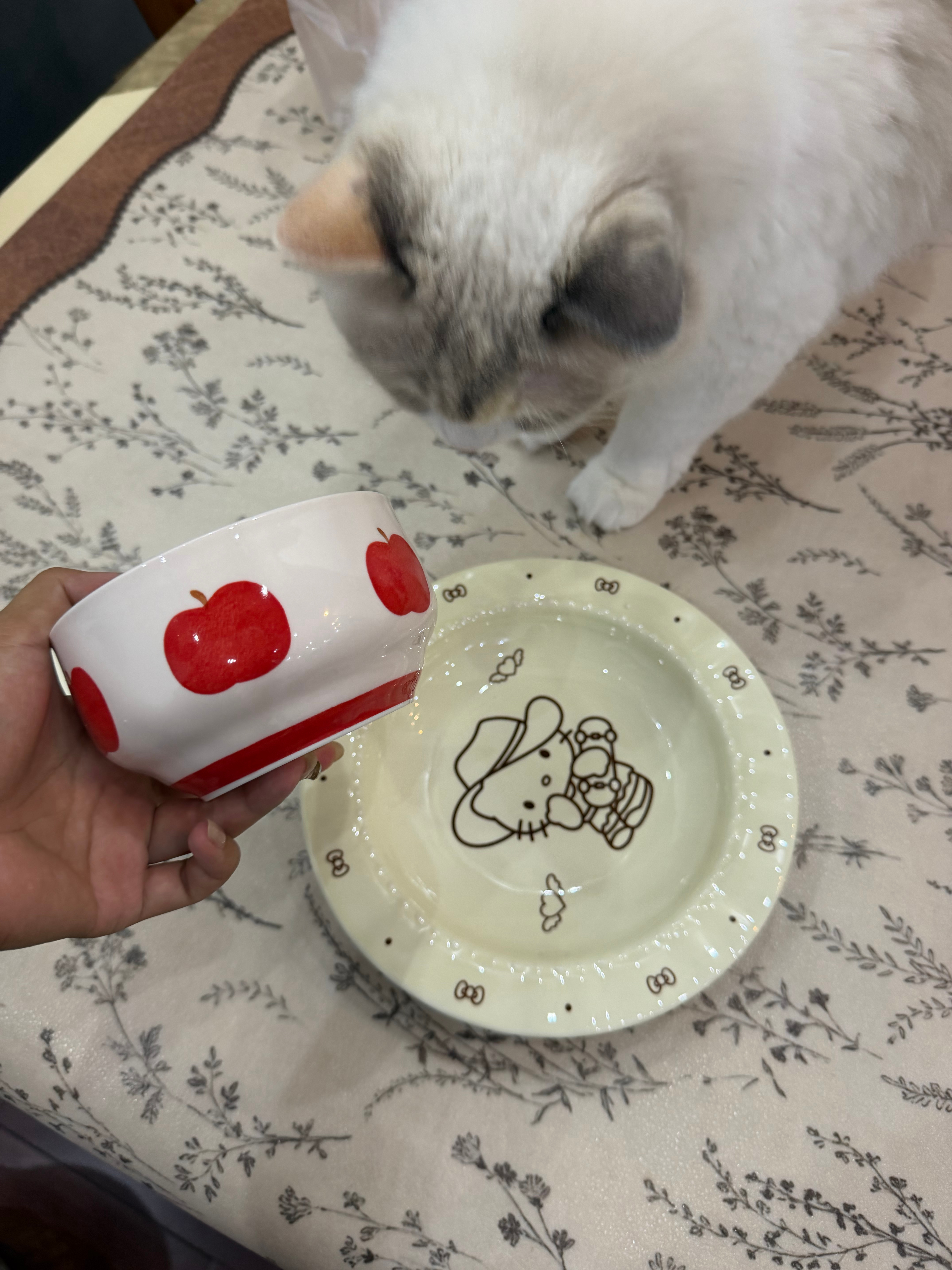 最喜欢开盲盒买餐具了 ​​​