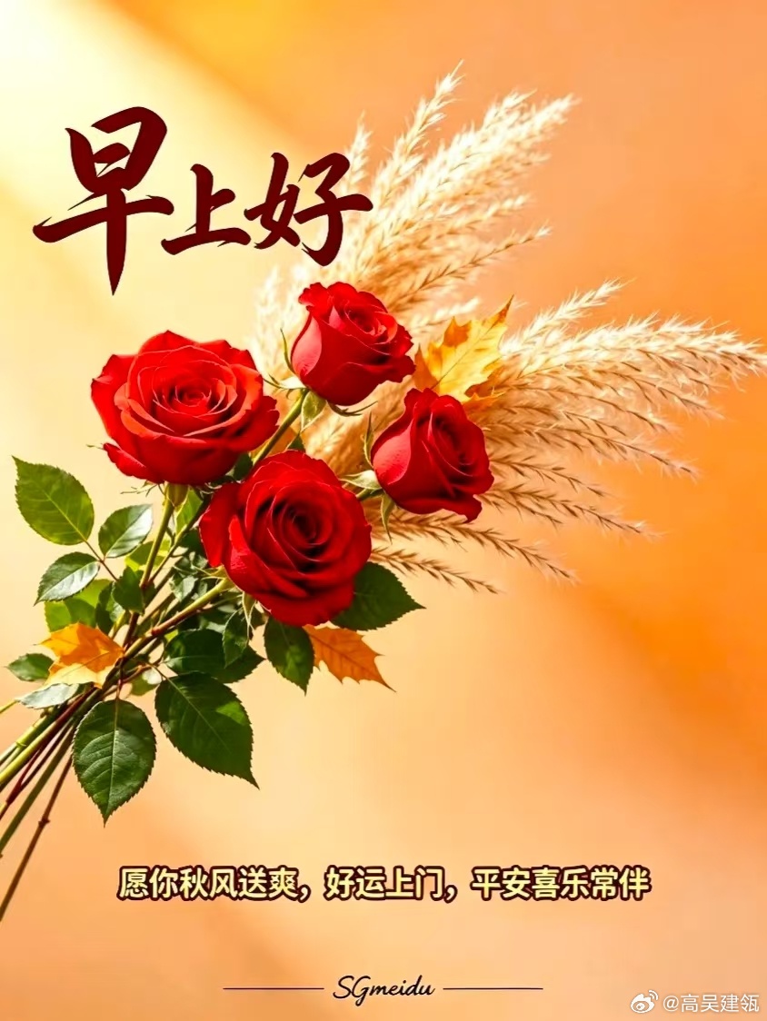 每天摸鱼打卡遇见优秀的人，身边多了一本书；遇见真诚的人，路上多了一盏灯；遇见心善