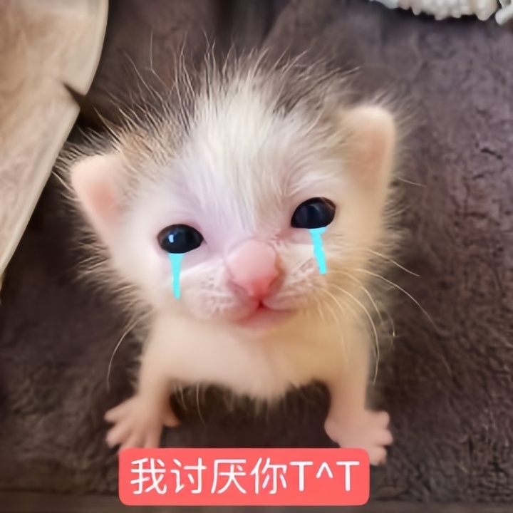 我其实就是一个玻璃心的小女孩 其实被骂了只会哭 