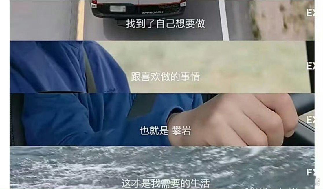 可惜苟局进去早了，不然高低引进一下