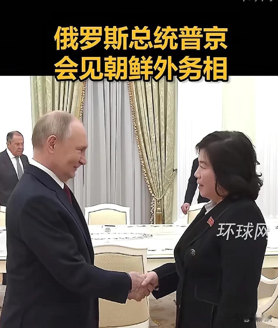 见面了