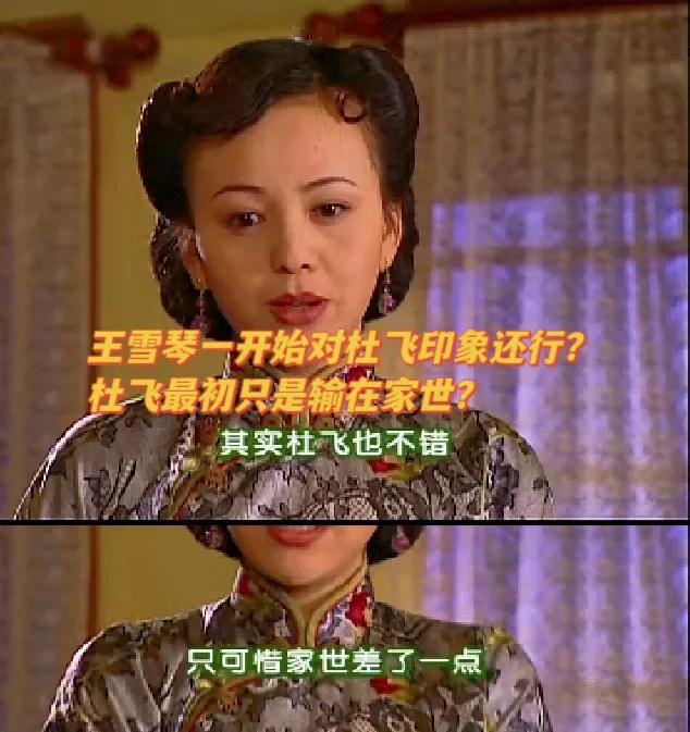 王雪琴在书桓和杜飞之间选书桓，原来是这个原因？[灵光一闪]
《情深深雨濛濛》里，