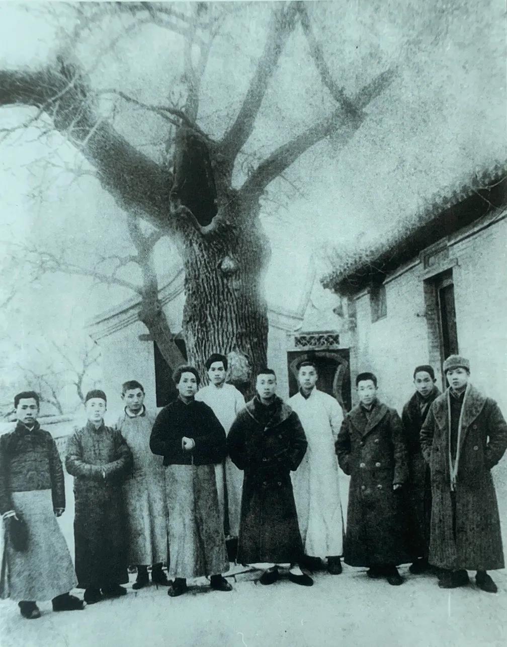 1920年1月18日，北京陶然亭公园慈悲庵山门古槐树下青年时期的毛主席和辅仁学社