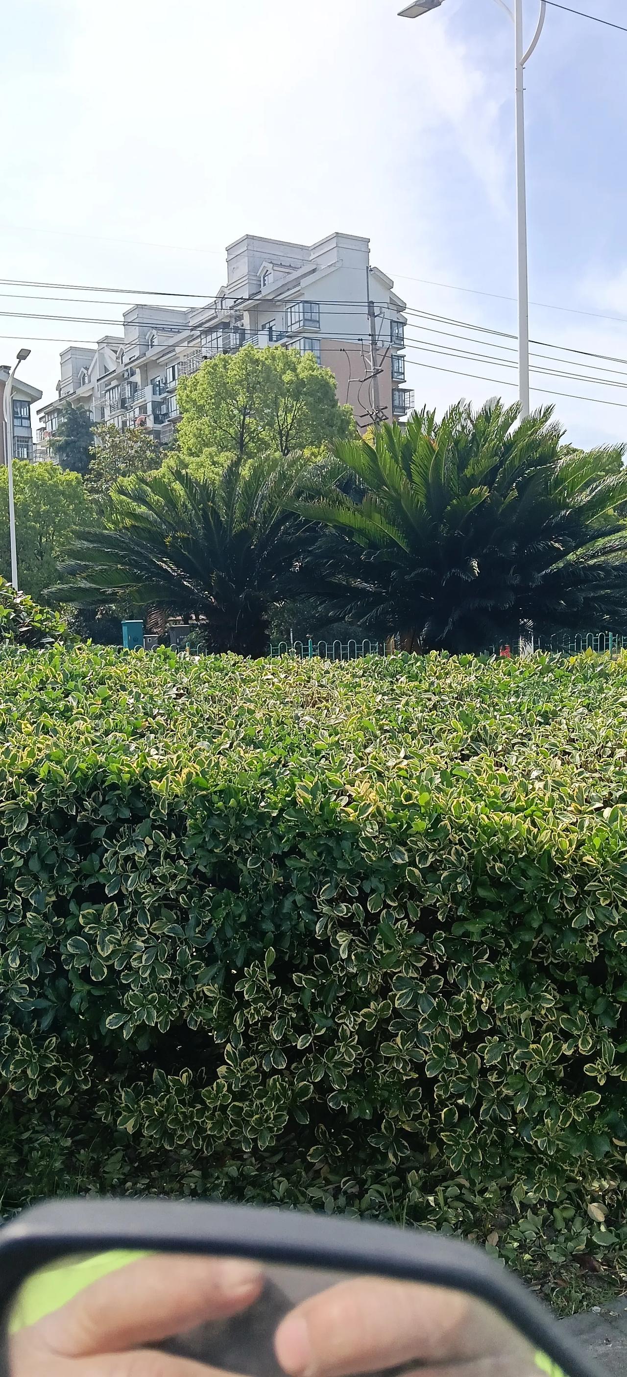 我先来经典应对：无缘对面不相逢。
缘分深浅皆是天意，大家还有什么绝妙好下联，不妨