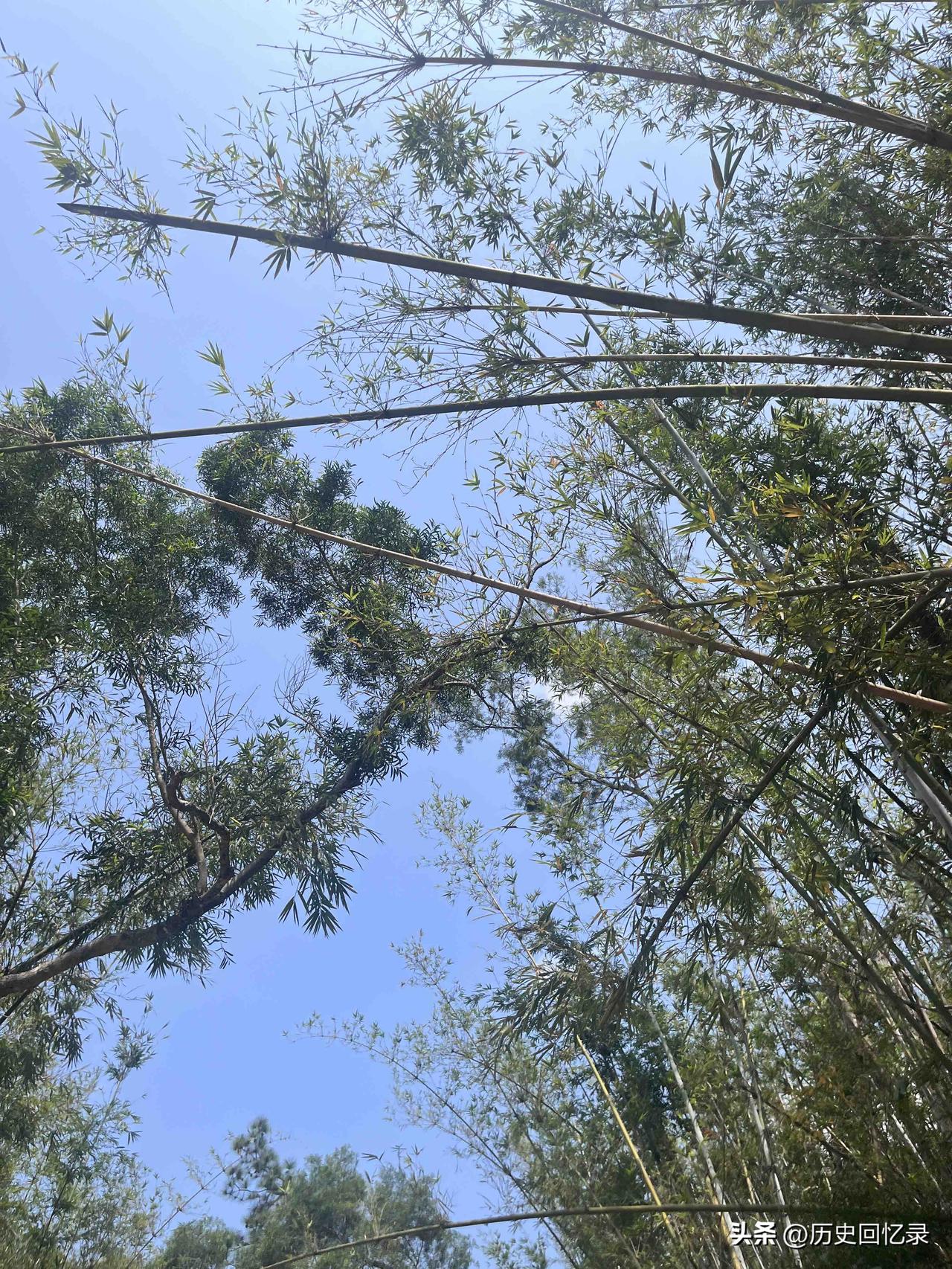 清明时节雨纷纷
