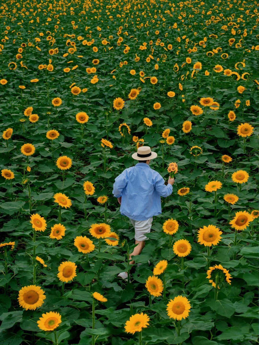 浦口后劲好大🌻赞爆朋友圈的巨好拍CityWalk