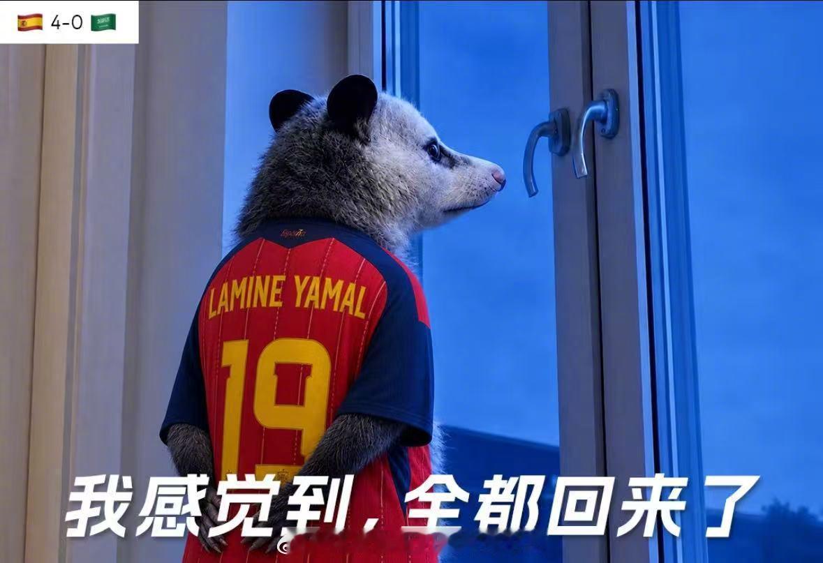 足球狂欢不只有足球 这场盛夏的足球赛事总忍不住让人反复回味，刻在脑子里的从不是冷