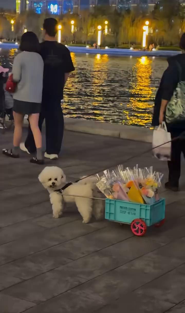 没事，过来点。