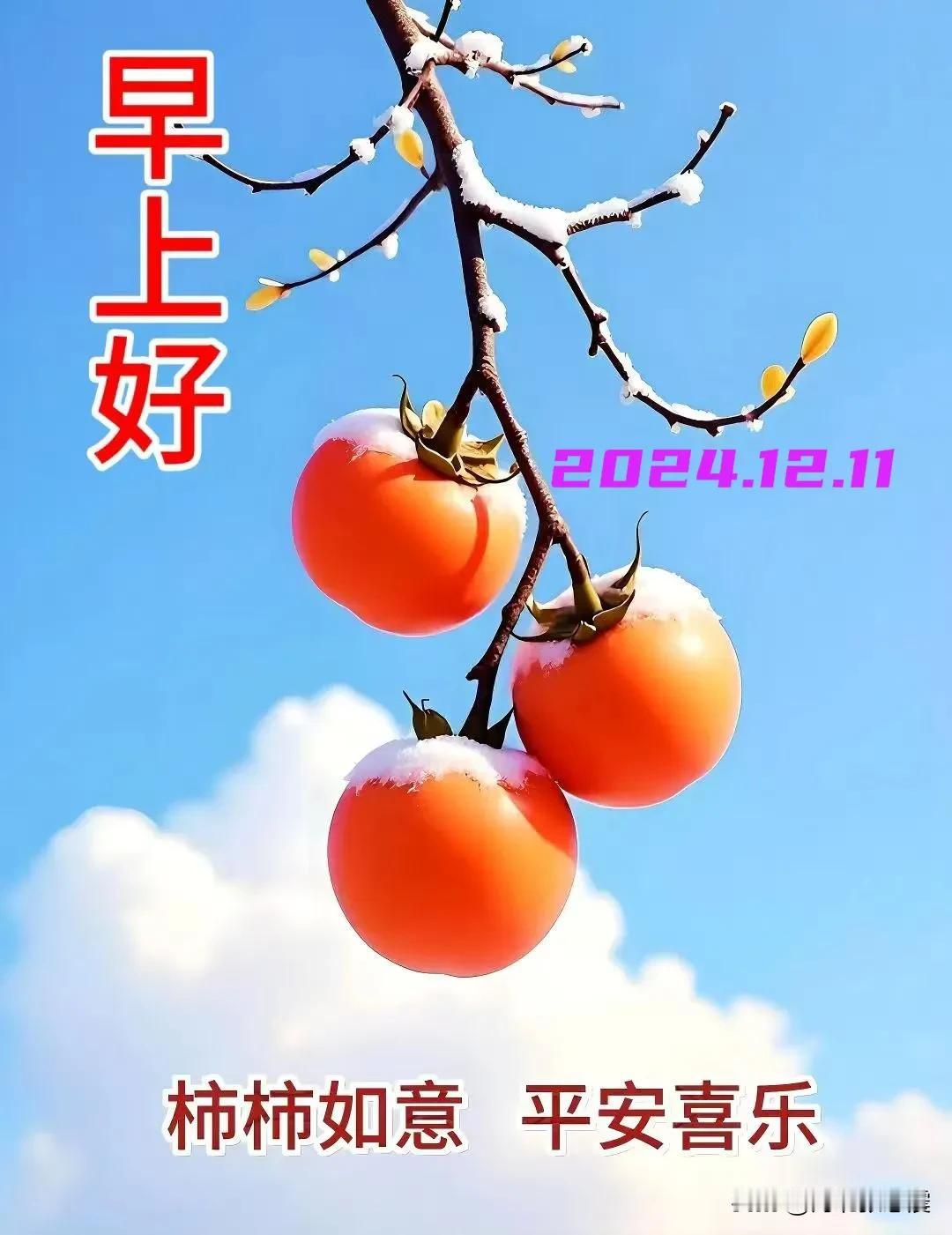 2024.12.11  农历甲辰年十二月十一，周三【🌹每日心语】
岁月如歌，人